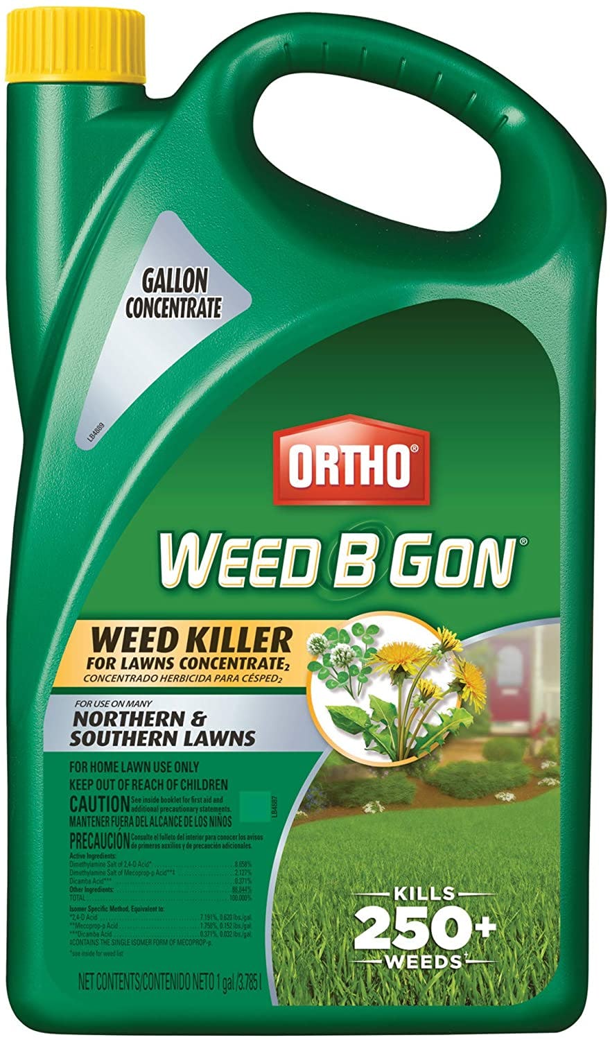 The 4 Best Weed Killers For Lawns