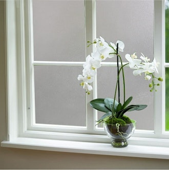 With its frosted design, this option from Coavas is one of the best window films for privacy.