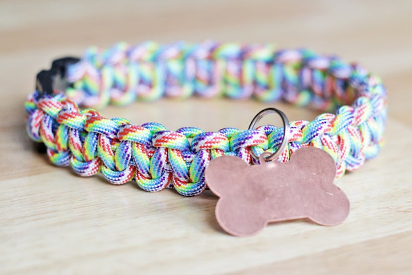 rainbow paracord dog collar, pride crafts