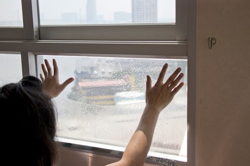 the best window films for privacy