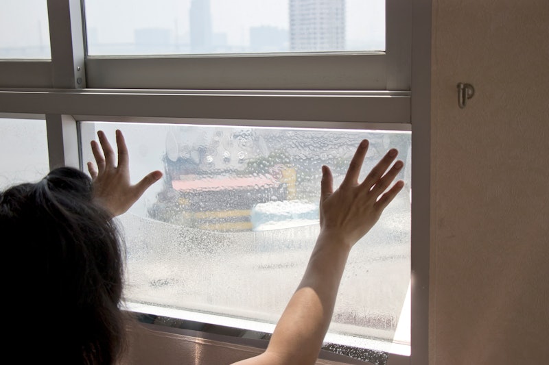 the best window films for privacy