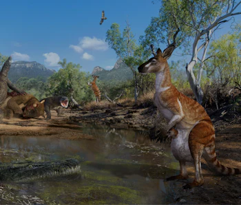New study: In ancient Australia, humans lived in a world with true giants