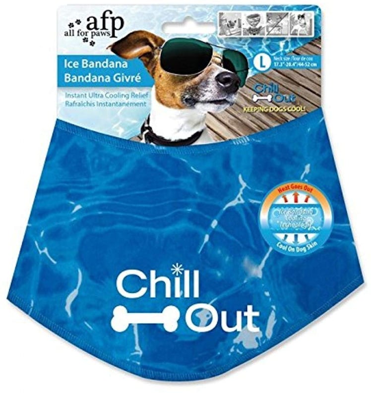 ALL FOR PAWS Chill Out Ice Dog Bandana
