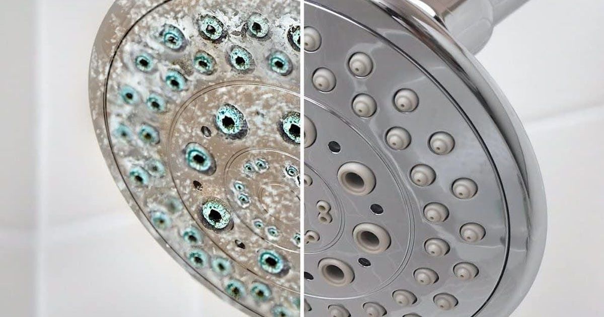 The 5 Best Calcium Removers