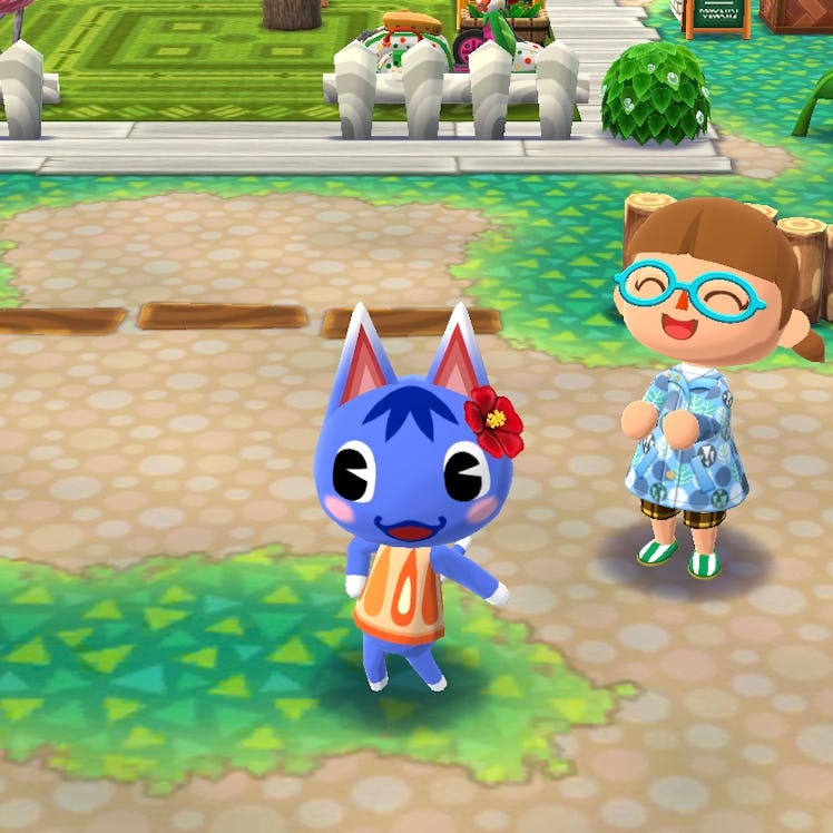 Rosie from 'Animal Crossing' poses in a new outfit at a campsite in the video game.