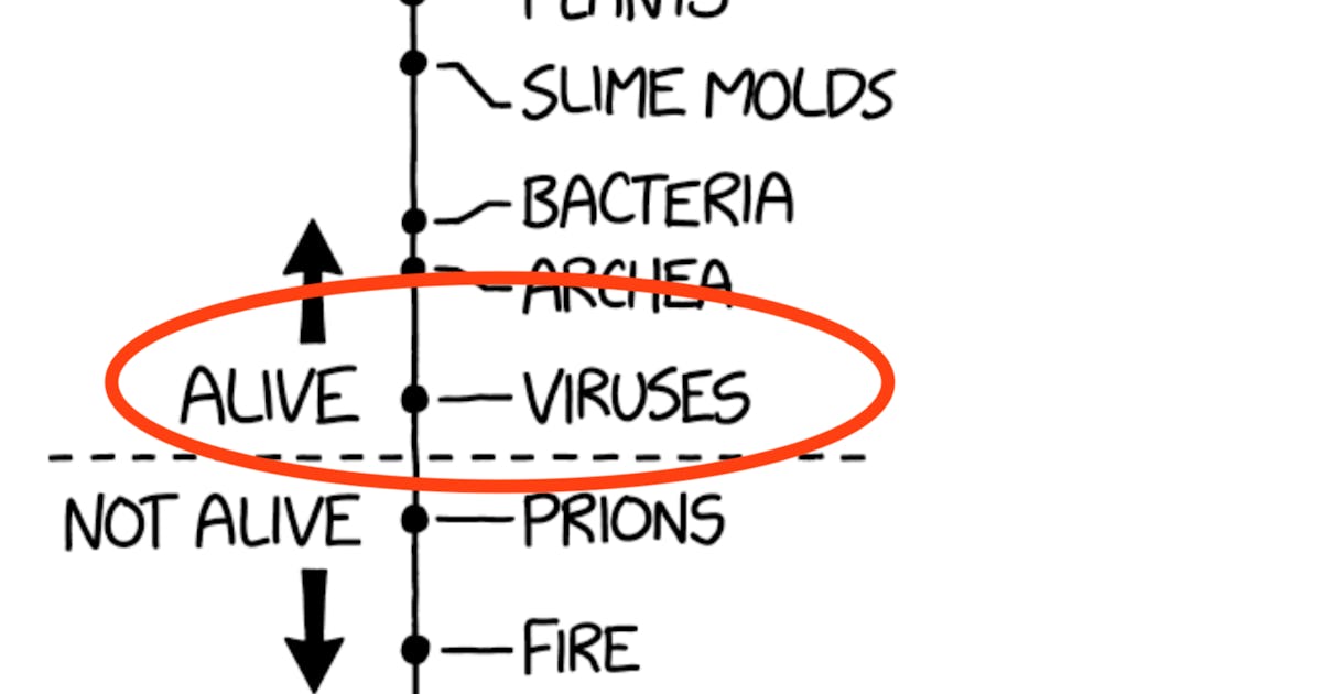 Are Viruses Alive Chart Hints At A Larger Debate Around Covid 19 Are Viruses Alive Chart Hints At A Larger Debate Around Covid 19