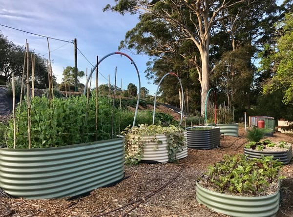 One sustainable behavior you need to keep going after the pandemic - Inverse