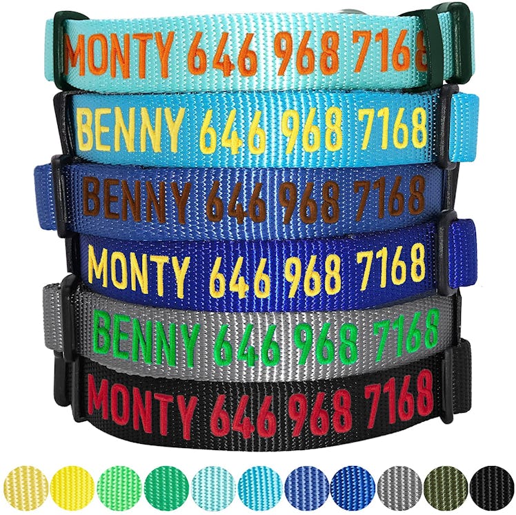 Blueberry Pet Essentials Personalized Collar