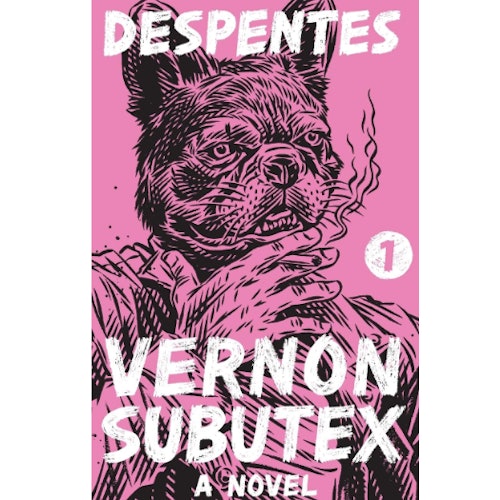 Vernon Subutex 1: A Novel 
