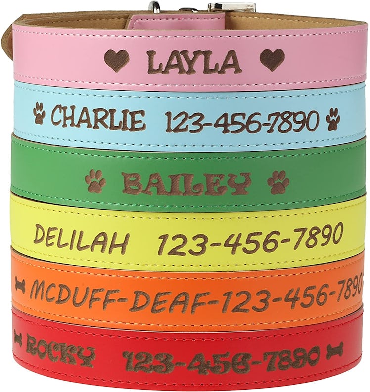 Custom Catch Personalized Dog Collar