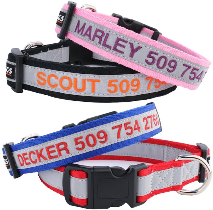 GoTags Reflective Personalized Dog Collar
