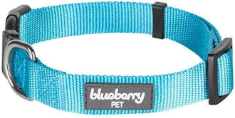 Blueberry Pet Classic Dog Collar