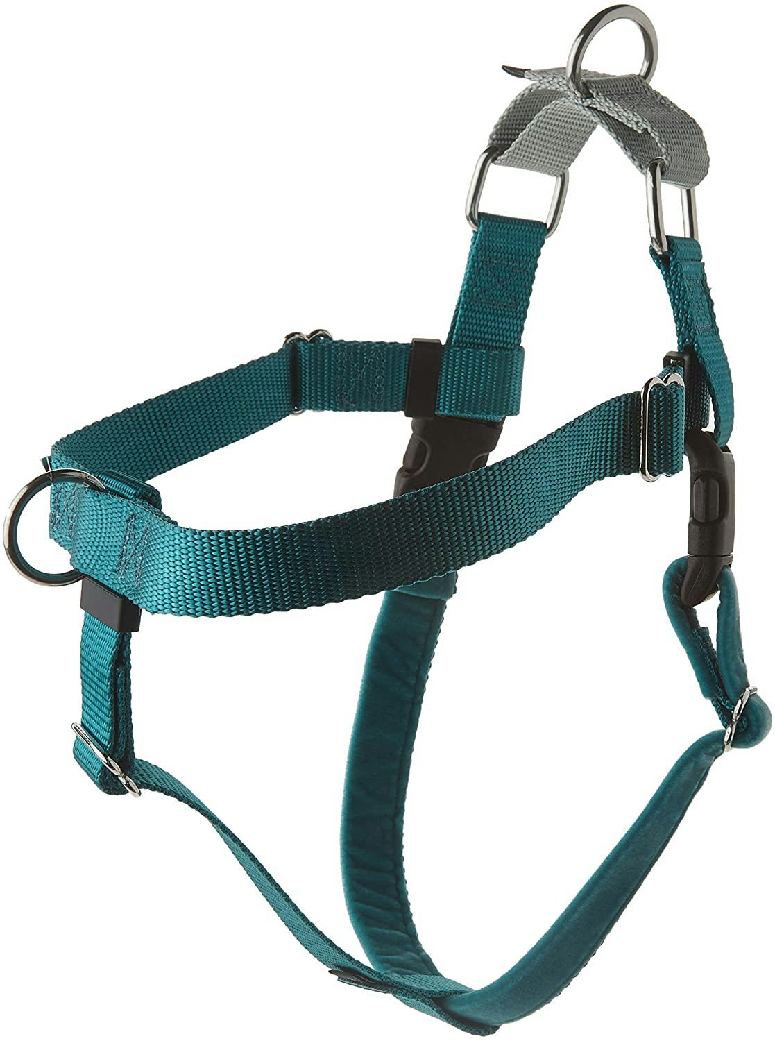 The 4 Best Collars For Training