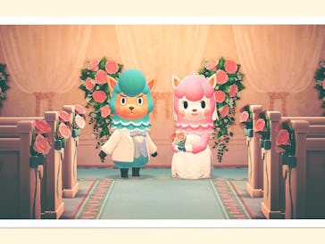 A screenshot from the wedding season in Animal Crossing