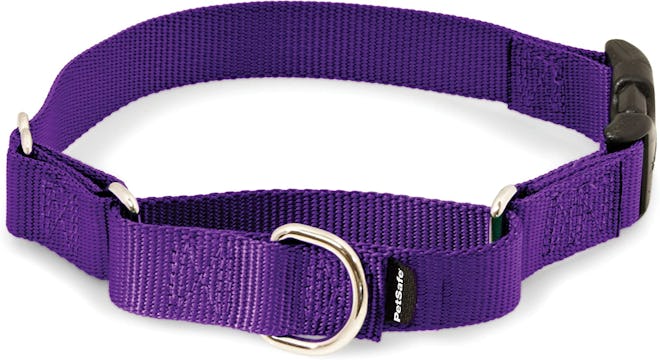PetSafe Martingale Dog Collar With Quick Snap Buckle