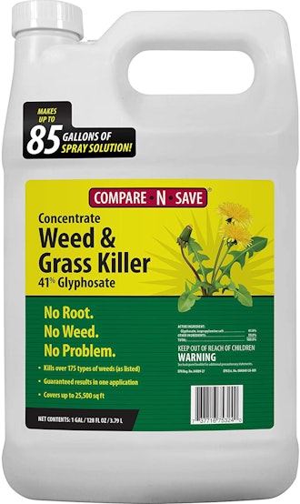 Compare-N-Save Concentrate Grass and Weed Killer, 1 Gallon