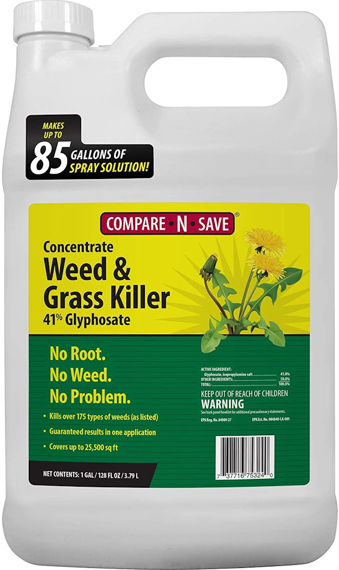 Compare-N-Save Concentrate Grass and Weed Killer, 1 Gallon