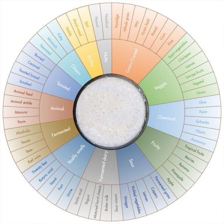 aroma wheel sourdough bread