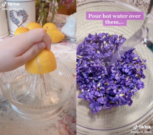 Screenshots of cottagecore TikTok videos