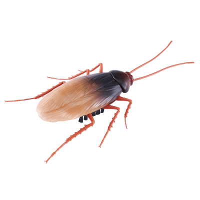 Robo Alive Crawling Cockroach 