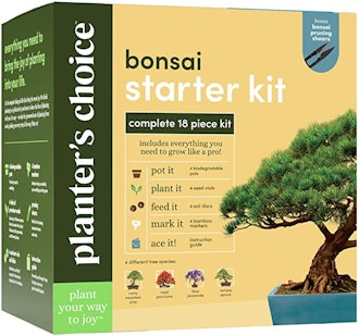 Planter's Choice Bonsai Starter Kit