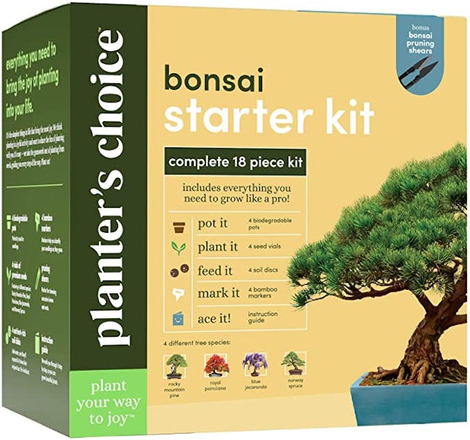 Planter's Choice Bonsai Starter Kit