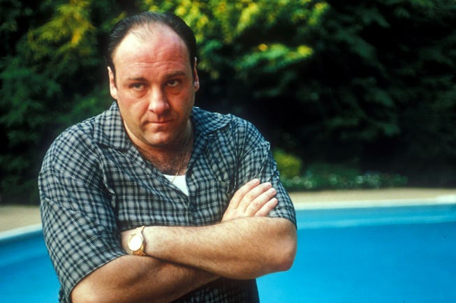 James Gandolfini as Tony Soprano