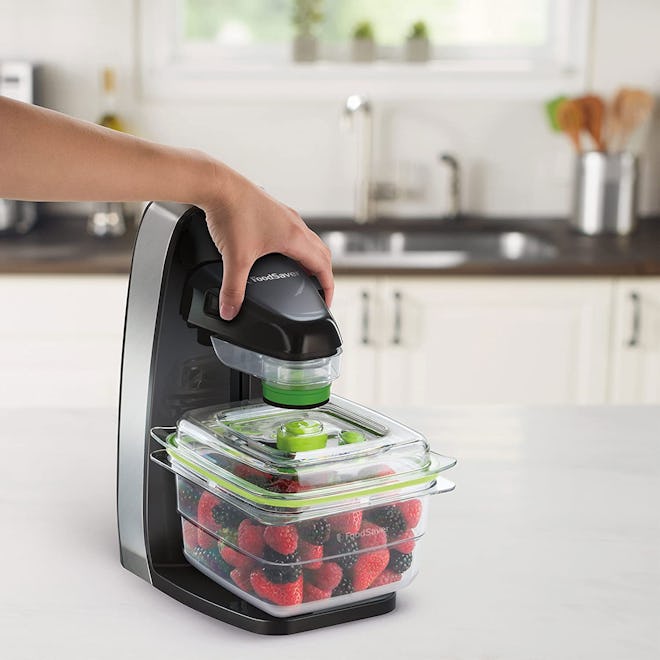 FoodSaver Fresh Food Preservation System