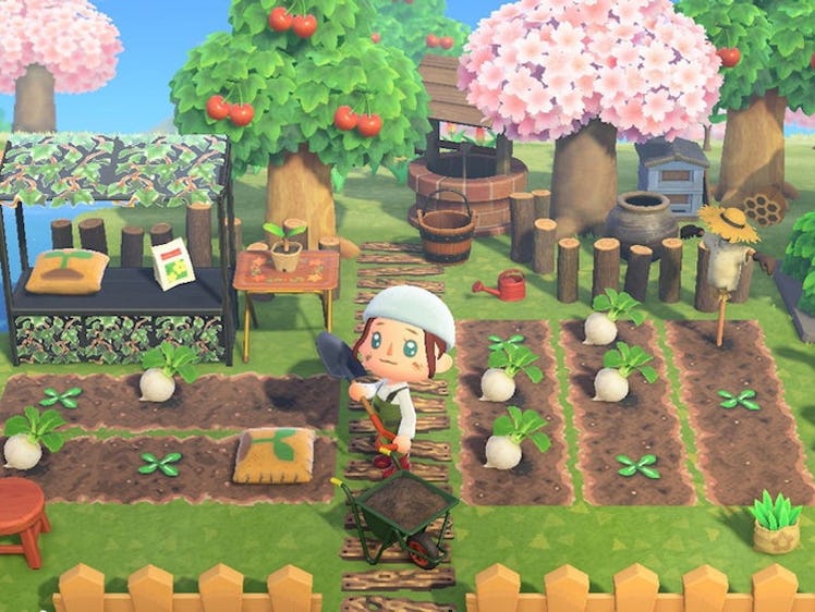 Turnips on an island in "Animal Crossing: New Horizons"