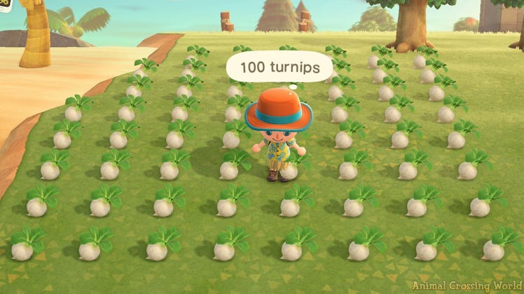 A character surrounded by 100 turnips in "Animal Crossing: New Horizons"