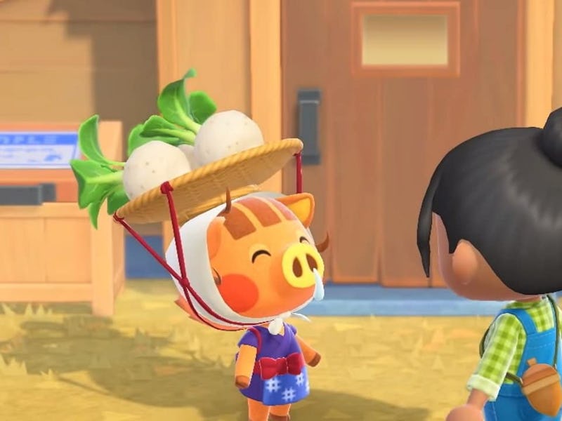 Daisy Mae in "Animal Crossing: New Horizons"