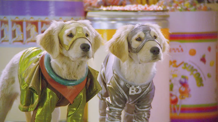 Here's how to win $1,000 by watching dog movies like 'Super Buddies.'