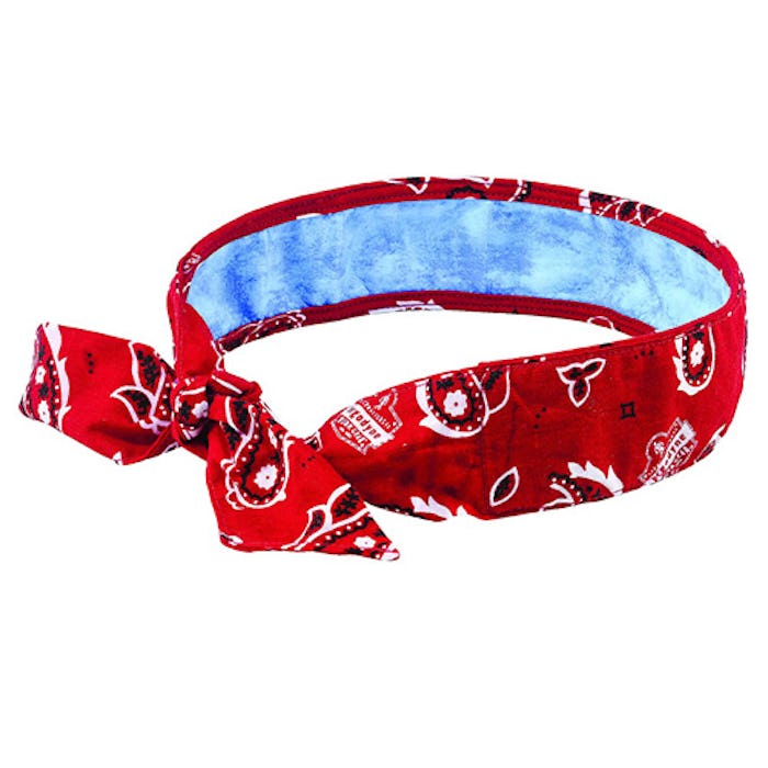 Ergodyne Chill Its Cooling Bandana