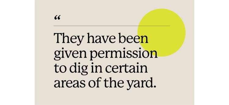 "They have been given permission to dig in certain areas of the yard" on a beige background with a y...