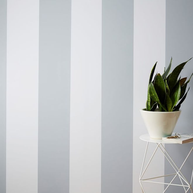Chasing Paper Removable Wallpaper - Stripe