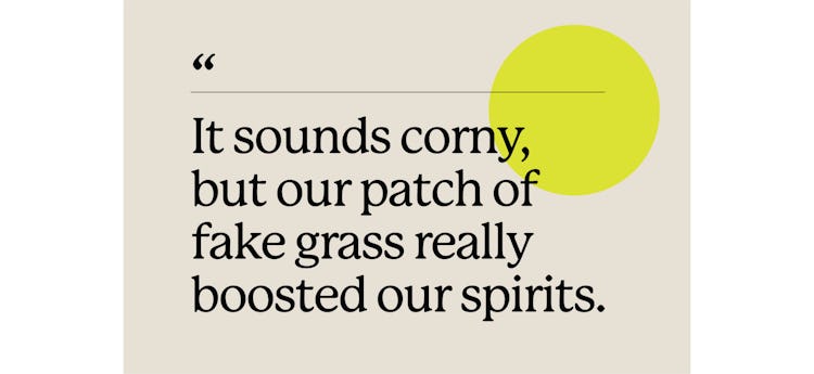 "It sounds corny, but our patch of fake grass really boosted our spirits" on a beige background with...