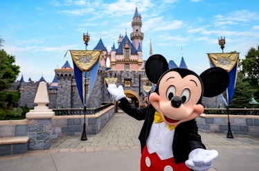 Disneyland's proposed summer 2020 repening dates are coming in about a month.