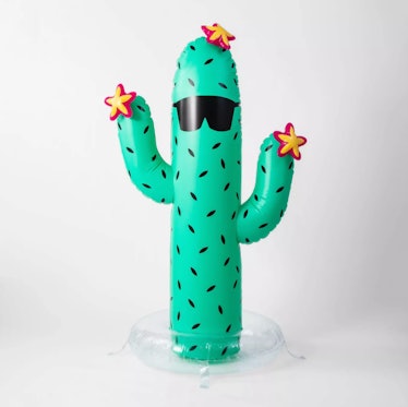 Cactus Sprinkler - Sun Squad™