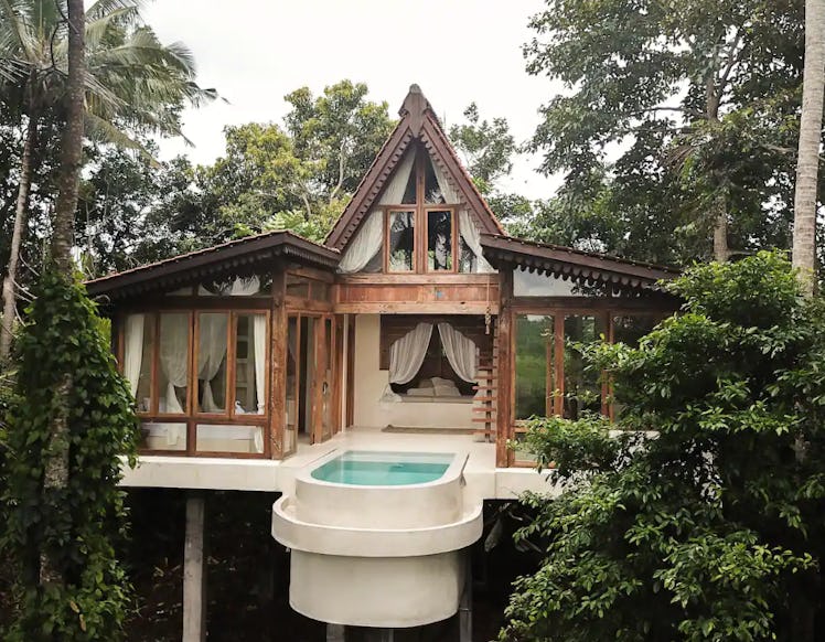A home on stilts situated in the jungle has a pool and lots of windows.