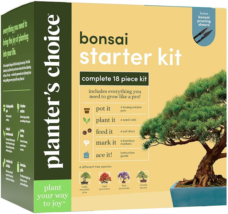 Planters' Choice Bonsai Starter Kit