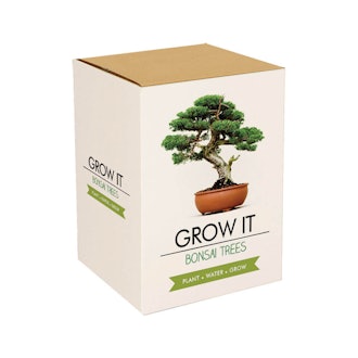 Grow It Bonsai Tree