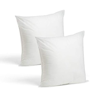 Set of 2-18 x 18 Premium Hypoallergenic Stuffer Pillow