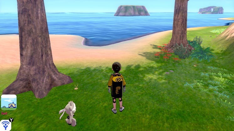A Pokémon following a player in 'Pokémon Sword and Shield: Isle of Armor DLC'