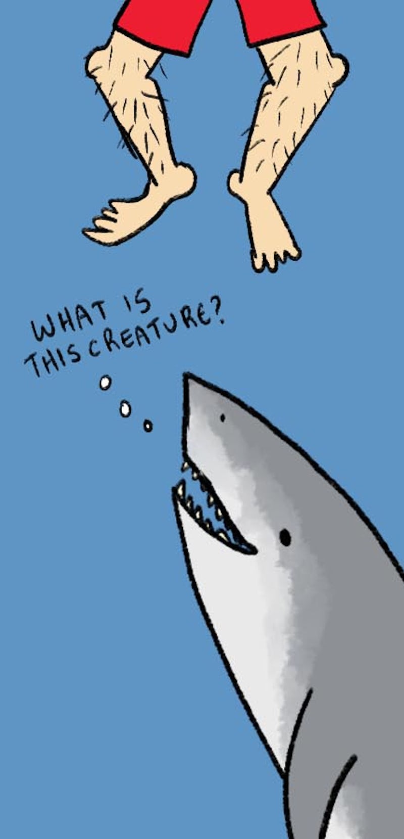 An illustration of a shark looking at human feet and the text 'What is this creature?'