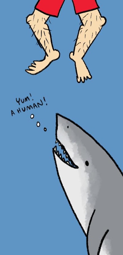 An illustration of a shark looking at human feet and the text 'Yum! A human!'