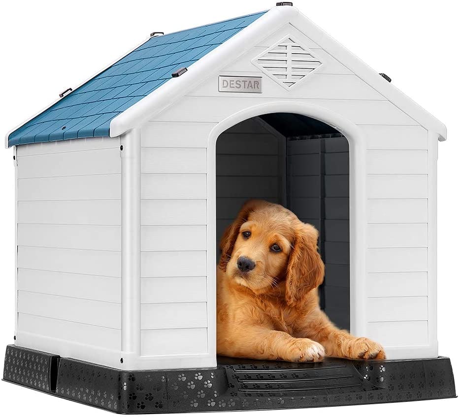 The 5 Best Outdoor Dog Houses