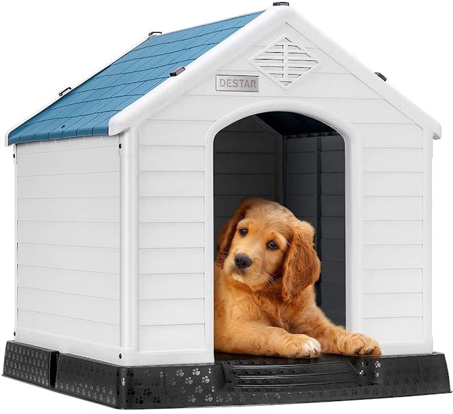 DEStar Durable Dog House Indoor Outdoor Shelter