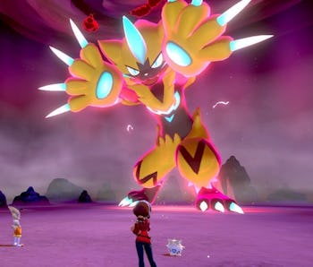 Pokemon Sword And Shield Shiny Zeraora Release Date And Defeat Count Pokemon Sword And Shield Shiny Zeraora Release Date And Defeat Count