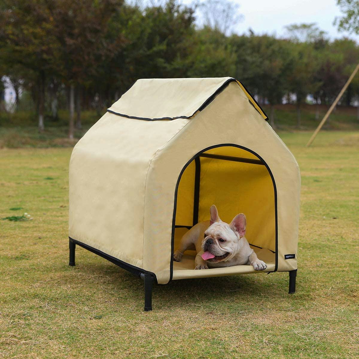 The 5 Best Outdoor Dog Houses
