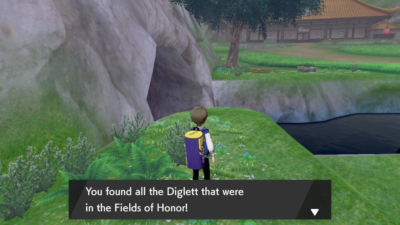 ‘Pokémon Isle of Armor' Diglett locations All 19 Fields of Honor spots